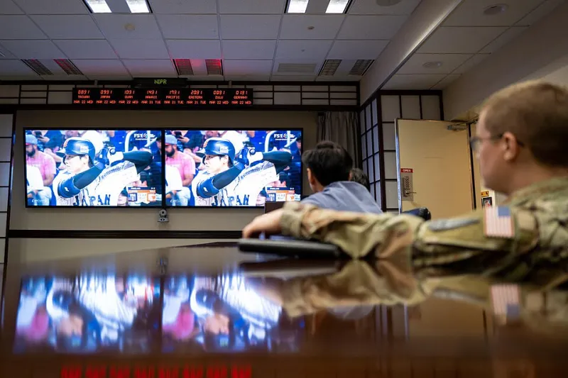 Owls vs. Pigeons: The Hidden Edge That Separates Late-Night Bettors From Everyone Else